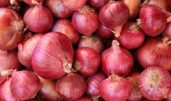 Fresh Onions